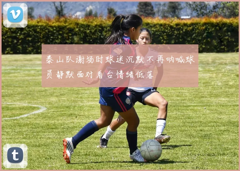 泰山队谢场时球迷沉默不再呐喊球员静默面对看台情绪低落