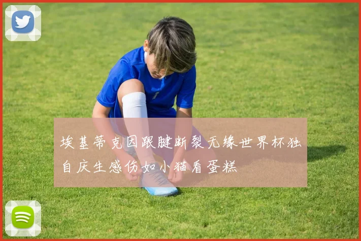埃基蒂克因跟腱断裂无缘世界杯独自庆生感伤如小猫看蛋糕
